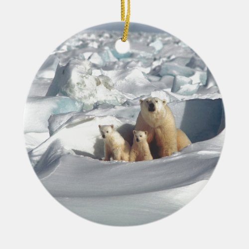 Add SLOGAN to Save Arctic Polar Bears Planet Ice Ceramic Ornament