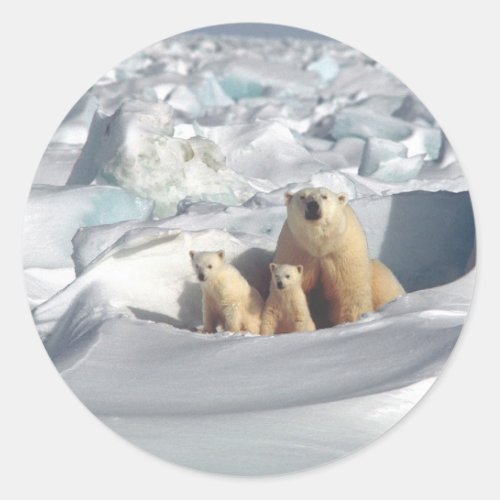 Add SLOGAN to Save Arctic Polar Bears Planet Ice Classic Round Sticker