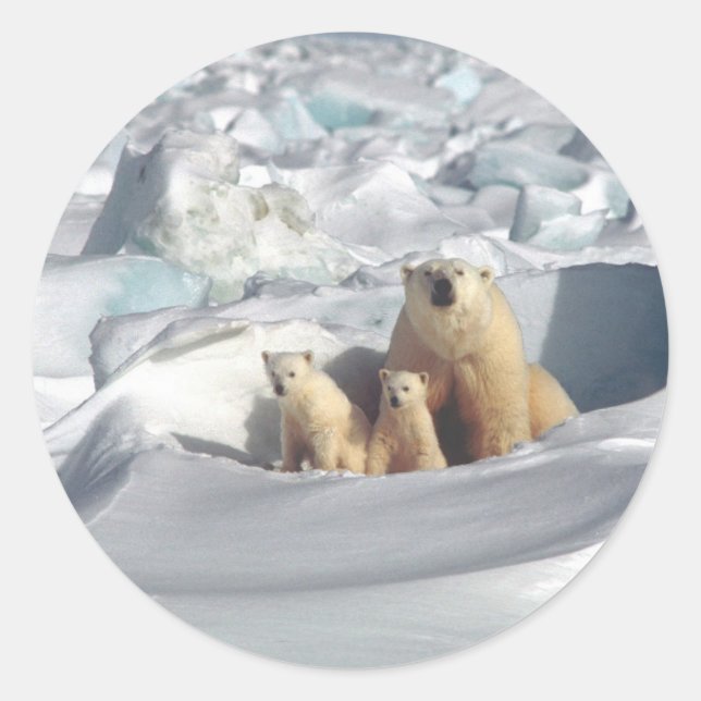 Add SLOGAN to Save Arctic Polar Bears Planet Ice Classic Round Sticker (Front)