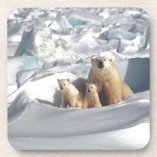 Add SLOGAN to Save Arctic Polar Bears Planet Ice Coaster
