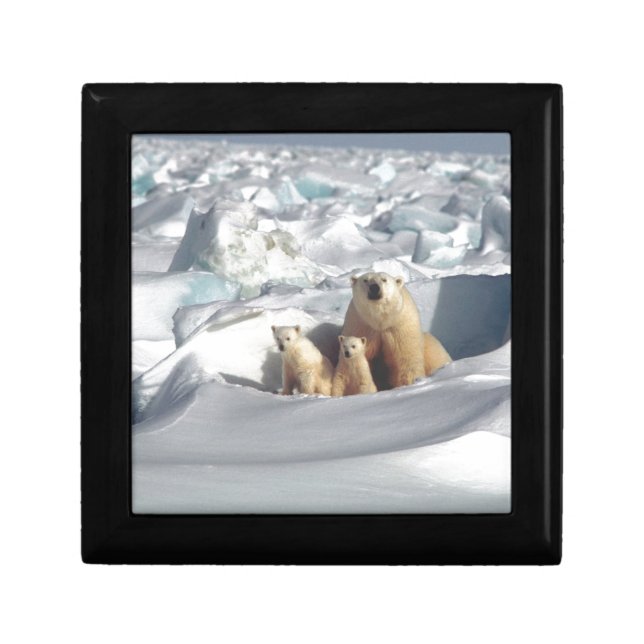Add SLOGAN to Save Arctic Polar Bears Planet Ice Jewelry Box (Front)