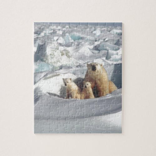 Add SLOGAN to Save Arctic Polar Bears Planet Ice Jigsaw Puzzle
