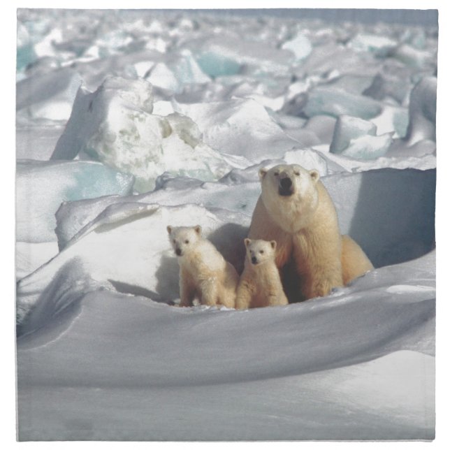Add SLOGAN to Save Arctic Polar Bears Planet Ice Napkin (Front)
