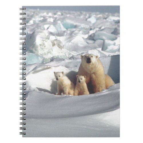 Add SLOGAN to Save Arctic Polar Bears Planet Ice Notebook