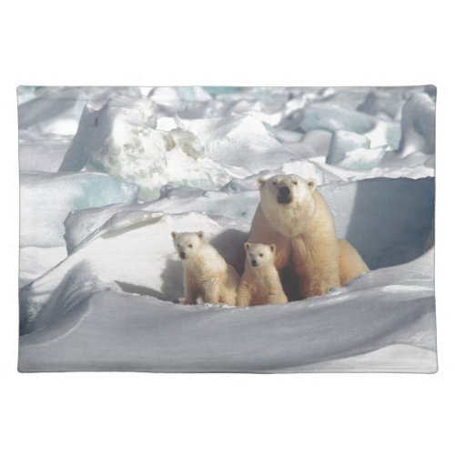 Add SLOGAN to Save Arctic Polar Bears Planet Ice Placemat