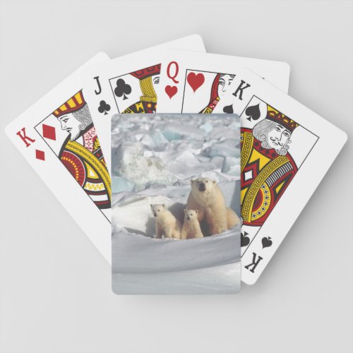 Add SLOGAN to Save Arctic Polar Bears Planet Ice Poker Cards