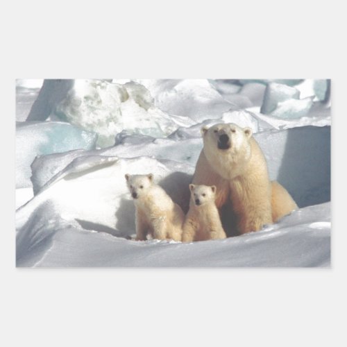 Add SLOGAN to Save Arctic Polar Bears Planet Ice Rectangular Sticker