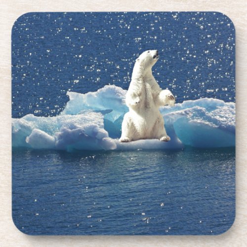 Add SLOGAN to Save Polar Bears Arctic Planet Ice Coaster