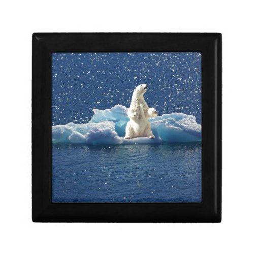 Add SLOGAN to Save Polar Bears Arctic Planet Ice Gift Box