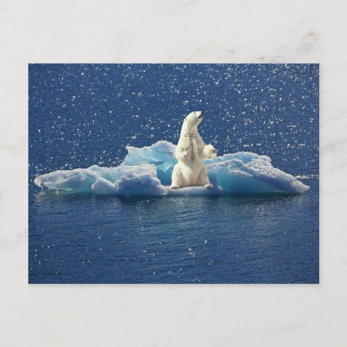 Add SLOGAN to Save Polar Bears Arctic Planet Ice Postcard