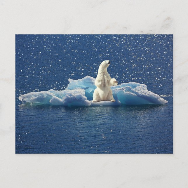 Add SLOGAN to Save Polar Bears Arctic Planet Ice Postcard (Front)