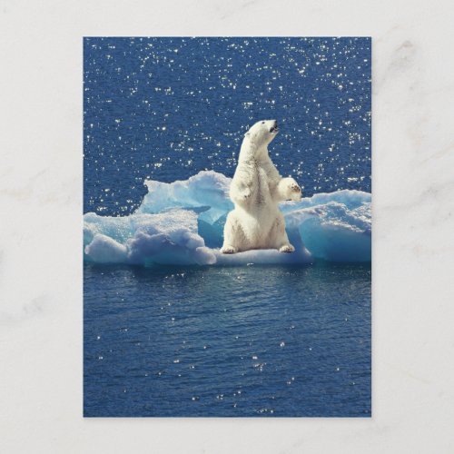 Add SLOGAN to Save Polar Bears Arctic Planet Ice Postcard