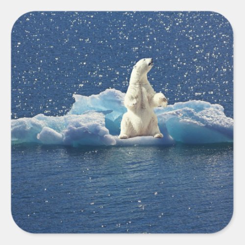 Add SLOGAN to Save Polar Bears Arctic Planet Ice Square Sticker