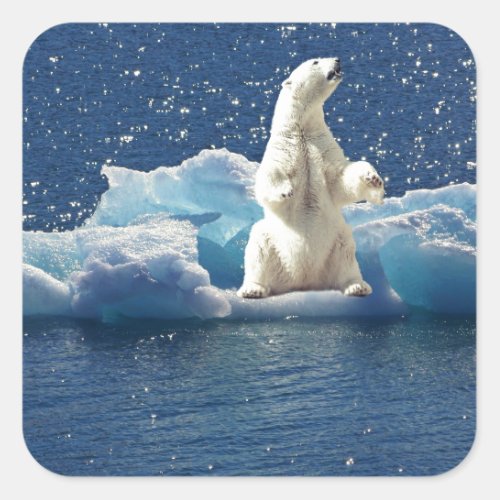 Add SLOGAN to Save Polar Bears Arctic Planet Ice Square Sticker