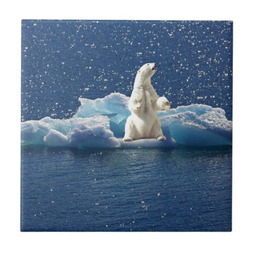 Add SLOGAN to Save Polar Bears Arctic Planet Ice Tile