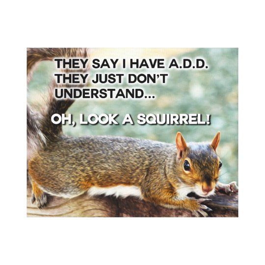 ADD Squirrel Photo Canvas Print | Zazzle.com