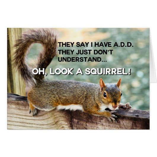 ADD Squirrel Photo Cards (Front Horizontal)