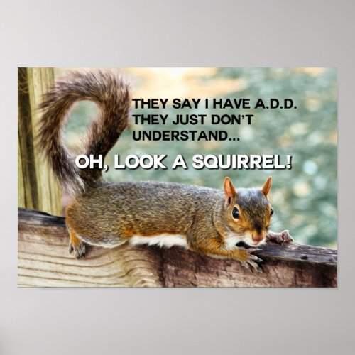 ADD Squirrel Photo Poster