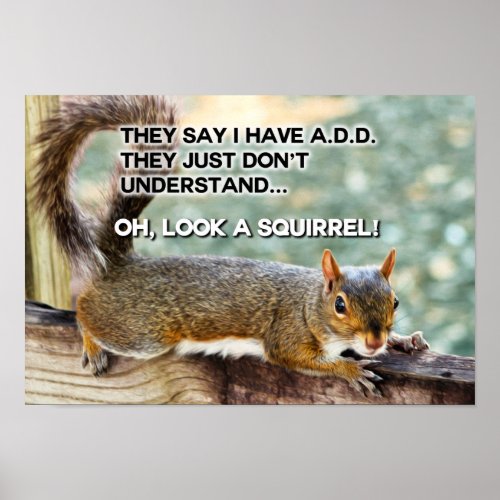 ADD Squirrel Photo Poster