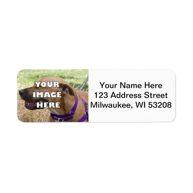 Add Your Animal! Address Labels | Zazzle