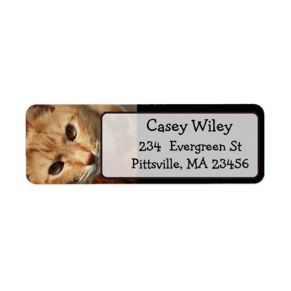 Add your Cat&#39;s Photo to this Address Label