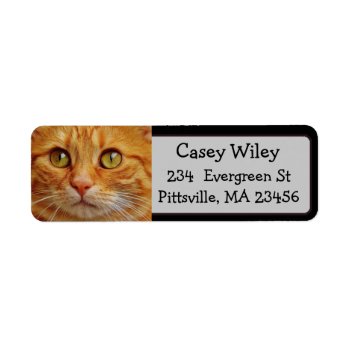 Add Your Cat's Photo To This Address Label by Magical_Maddness at Zazzle
