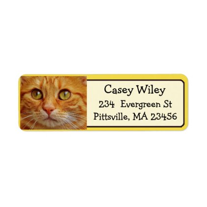 Add your Cat's Photo to this Address Label