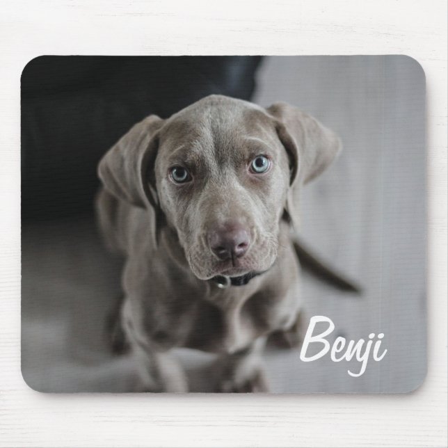 Add your Dog's Photo and name to this Mouse Pad (Front)