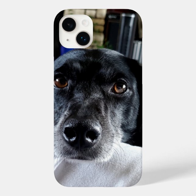 Add Your Dog's Photo to this Custom Case-Mate iPhone Case (Back)