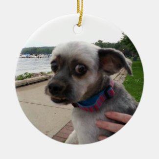Add your Dog's Photo to this Ornament