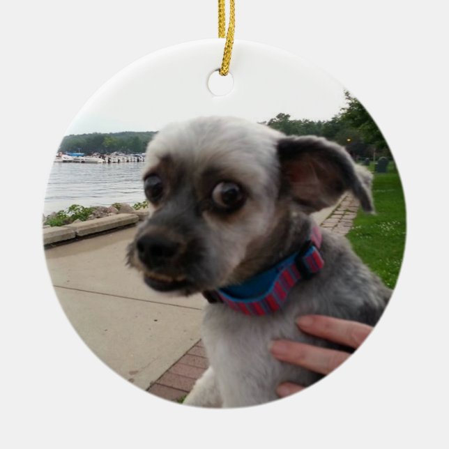 Add your Dog's Photo to this Ornament (Front)