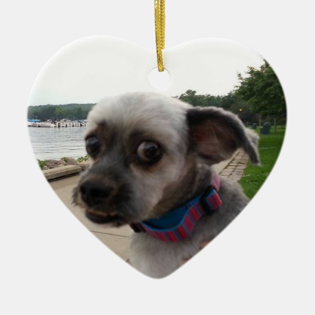 Add your Dog's Photo to this Ornament (Front)