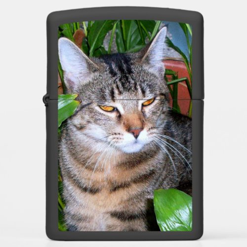 Add Your Family Pet Photo Zippo Lighter