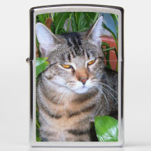 Add Your Family Pet Photo