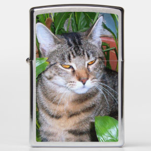 Add Your Family Pet Photo Zippo Lighter