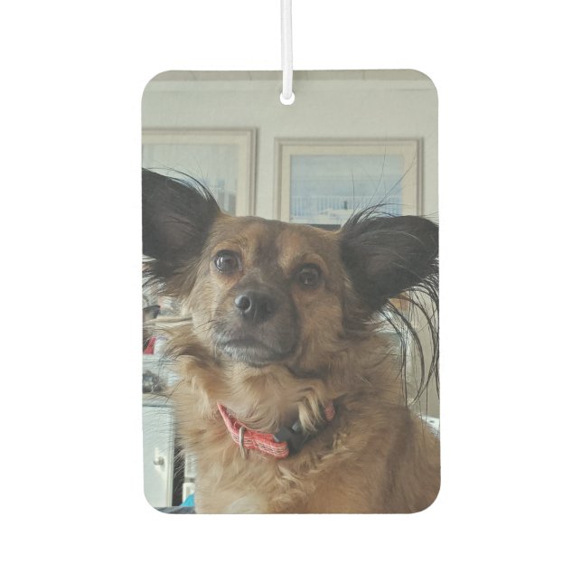 Add Your Favorite Dog Photos to these  Air Freshener (Front)