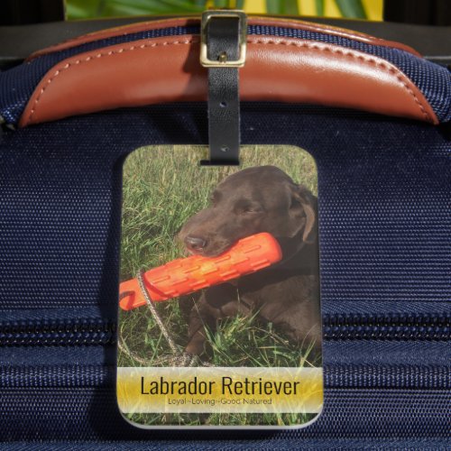 Add Your Favorite Family Pet Photo Custom Luggage Tag
