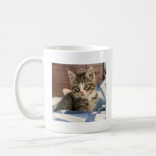 Add your Favorite Kitty Cat Photo Coffee Mug