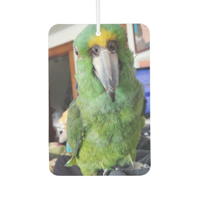 Add Your Favorite Parrot, Bird Photos to these  Air Freshener (Front)