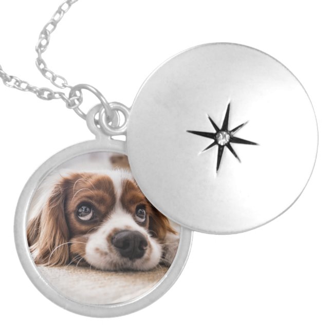 Add your favorite pet dog photograph, locket necklace (Front)
