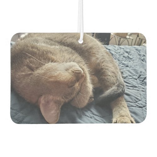 Add Your Favorite Pet Photos to these  Air Freshener