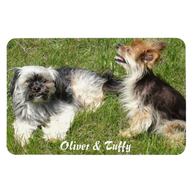 Add Your Favorite Photo Magnet (Horizontal)