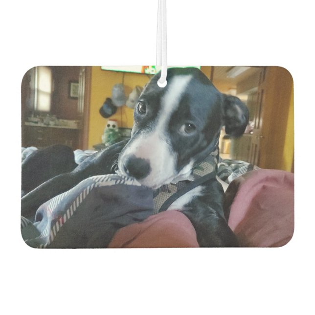 Add Your Favorite Puppy Photos to these  Air Freshener (Front)