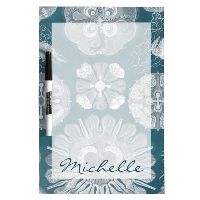 Add Your Name | Sealife Blueprint IV Dry Erase Board (Front)