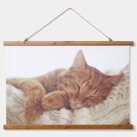 Add Your Own | Custom Cat Photo