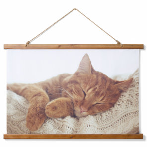 Add Your Own | Custom Cat Photo Hanging Tapestry