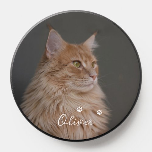 Add Your Own Customized Cat or Pet Photo and Name PopSocket