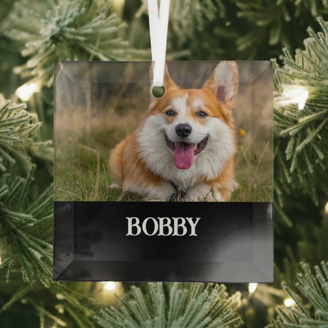 Add your own dog photo and name glass ornament (Insitu)