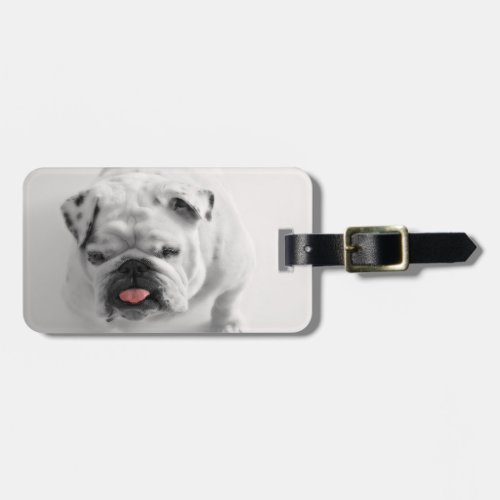 Add Your Own Dog Photo Travel  funny bulldog Luggage Tag