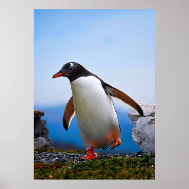 Add Your Own Image Photo Template Custom Gifts Poster (Front)